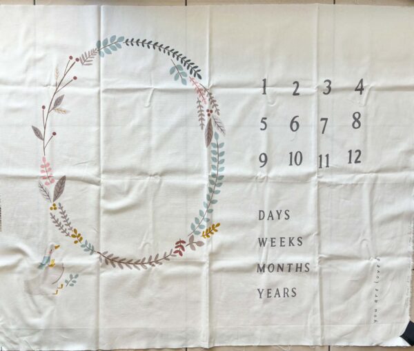 'Little Ducklings' by Paper & Cloth for Moda Quilting Cotton Panel (115cm x 95cm)